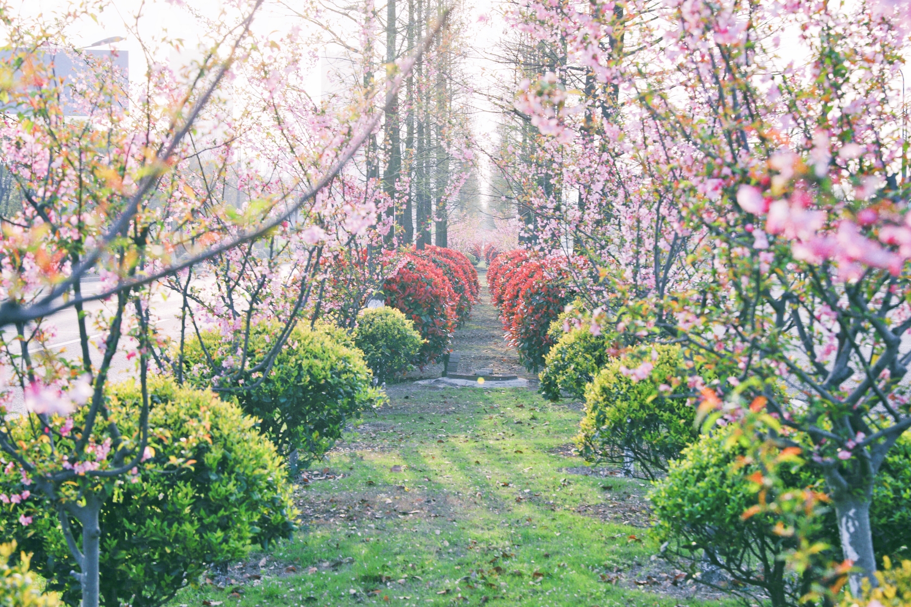 欧博abg - 官方网址登录入口