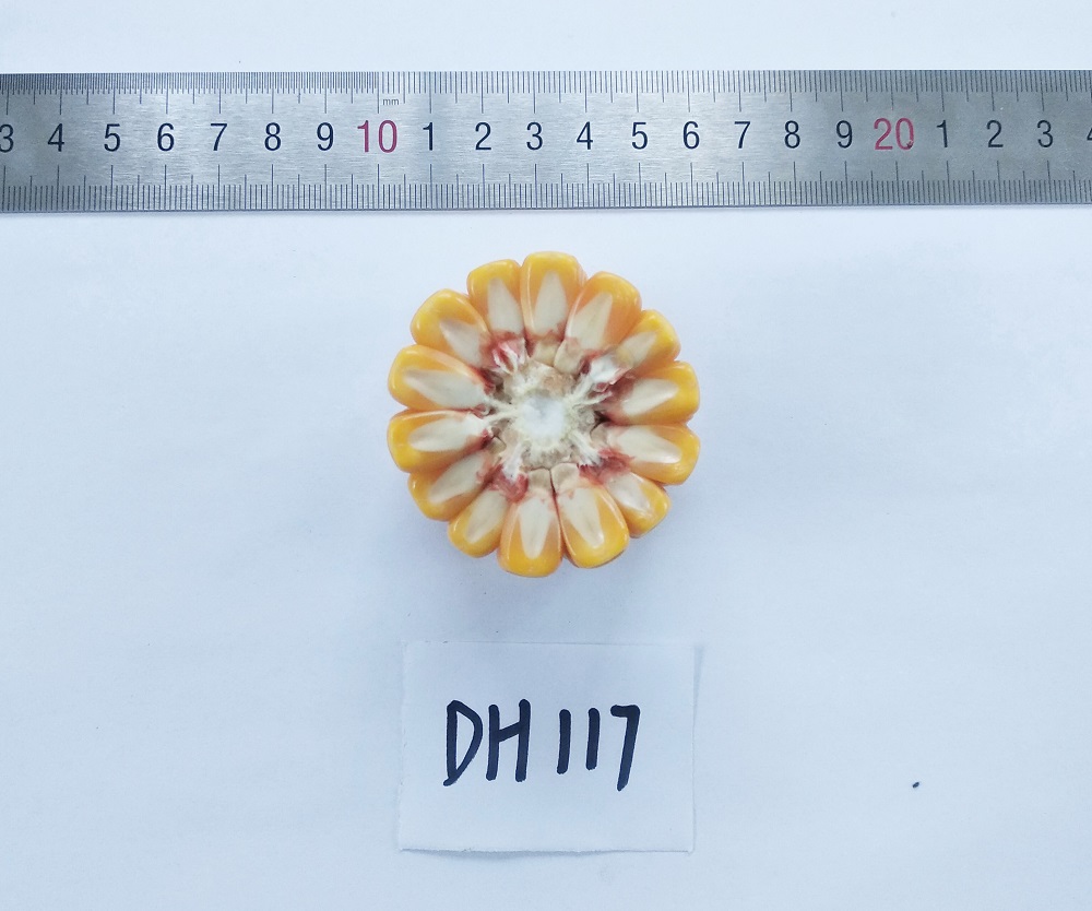 20200304103050236 \