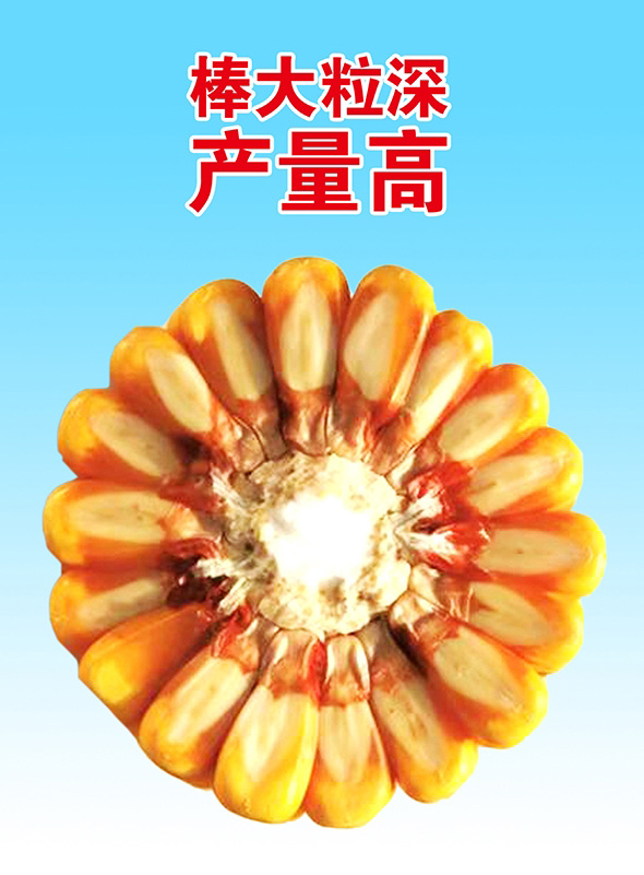 20200410102628131 \